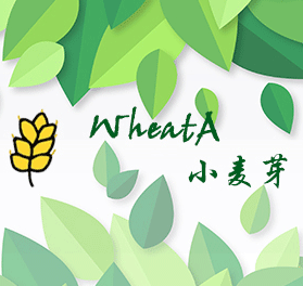 v1.7.1版本更新说明